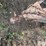 shop-built-trailer-image-9