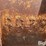 17.5”-excavator-bucket-image-9