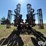 2011-case-ih-330-image-6