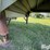 2000-wilson-grain-trailer-image-13