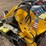 #2010-•-2026-agt-mx-crt23-compact-track-loader-image-12