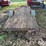 shop-built-trailer-image-6