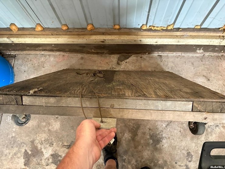 3'-x-3'-dolly-image-2