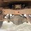 2000-ford-f350-sd-xlt-image-135