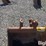 geith-23"-backhoe-bucket-image-13
