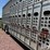 2015-eby-livestock-trailer-image-17