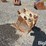 strickland-12"-backhoe-bucket-image-7