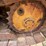 caterpillar-d3c-image-10