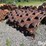 84”x58”-padfoot-shell-kit-image-1