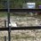 l4---unused-3/4''-threaded-blk-pipe-image-1