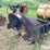 41"-dragline-bucket-image-1
