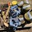 #7431-•-pallet-of-2"-ratchets-and-straps-(antigo,-wi)-image-7