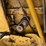 vermeer-504f-image-24