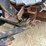 2000-ford-f350-sd-xlt-image-115