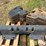 new-holland-tv140-suitcase-weights-image-6