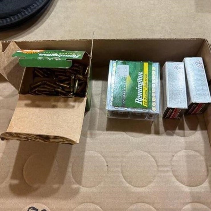 200 +/- Rounds of 22 cal Ammo