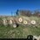 hesston-3980-image-4