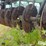 john-deere-30-image-20