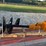 #17-•-lot-17-image-1