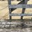 #2006-•-16'-hay-wagon-image-22