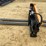 #2221-•-new-wolverine-pallet-fork-with-hydraulic-adjustable-image-7