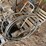 #7073-•-baumac-gas-powered-pressure-washer-(deerbrook,-wi)-image-7