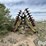 john-deere-230-image-6