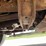 2004-ford-f350-image-97
