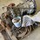 #7502-•-allison-transmission-(antigo,-wi)-image-5