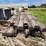 railroad-ties-image-5