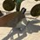 john-deere-2500-image-32