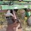 john-deere-30-image-11