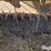 hesston-6600-image-17