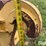 48”-x-6”-fork-carriage-image-11