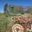 hesston-3980-image-19