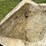 poly-grain-auger-hoppers-image-12