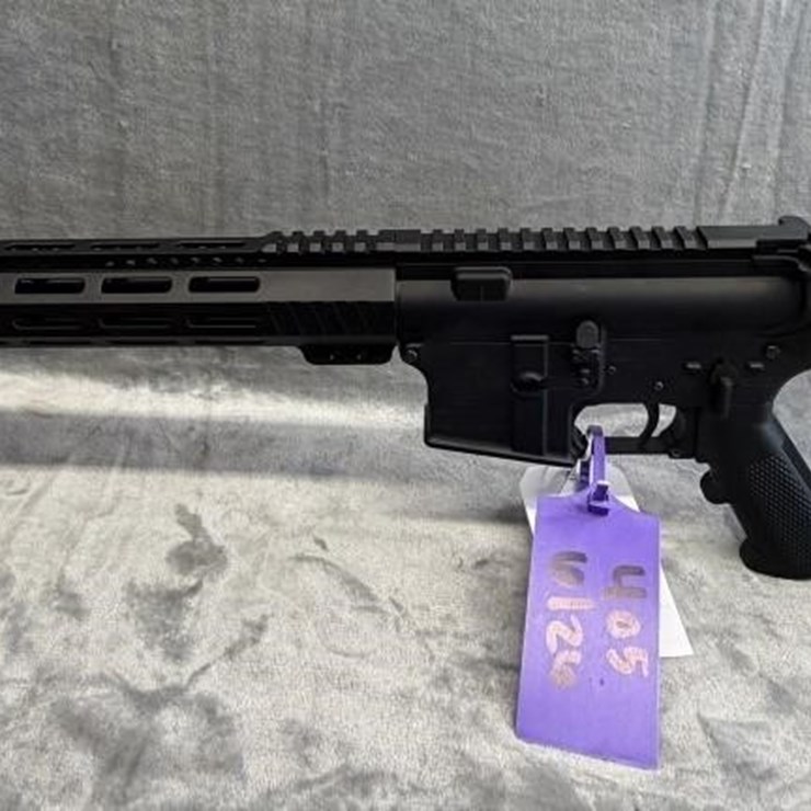 GS- Bushmaster 5.56 NATO XM15-E2S