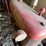 ihc-cub,-￼has-belly-mower-image-15