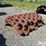 66”-padfoot-shell-kit-image-7