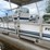 #2000-•-1991-playbuoy-20'-pontoon-with-trailer-(has-wi-title)-image-25