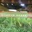 #2008-•-h&s-hay-wagon-with-john-deere-running-gear-(colfax-wi)-image-5