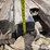 railroad-ties-image-8