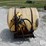 fimco-3-pt-hitch-sprayer-image-2