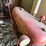 ihc-cub,-￼has-belly-mower-image-16
