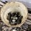 #7516-•-pallet-of-various-hydraulic-control-valves-(antigo,-wi)-image-14