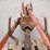 allis-chalmers-3-pt-hitch-auger-image-22