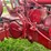 mccormick-m-image-27