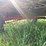 #2009-•-hay-wagon-with-kasten-running-gear-(colfax-wi)-image-12