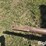 16'-hay-rack-on-westendorf-running-gear-image-14