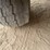 #2000-•-1991-playbuoy-20'-pontoon-with-trailer-(has-wi-title)-image-98